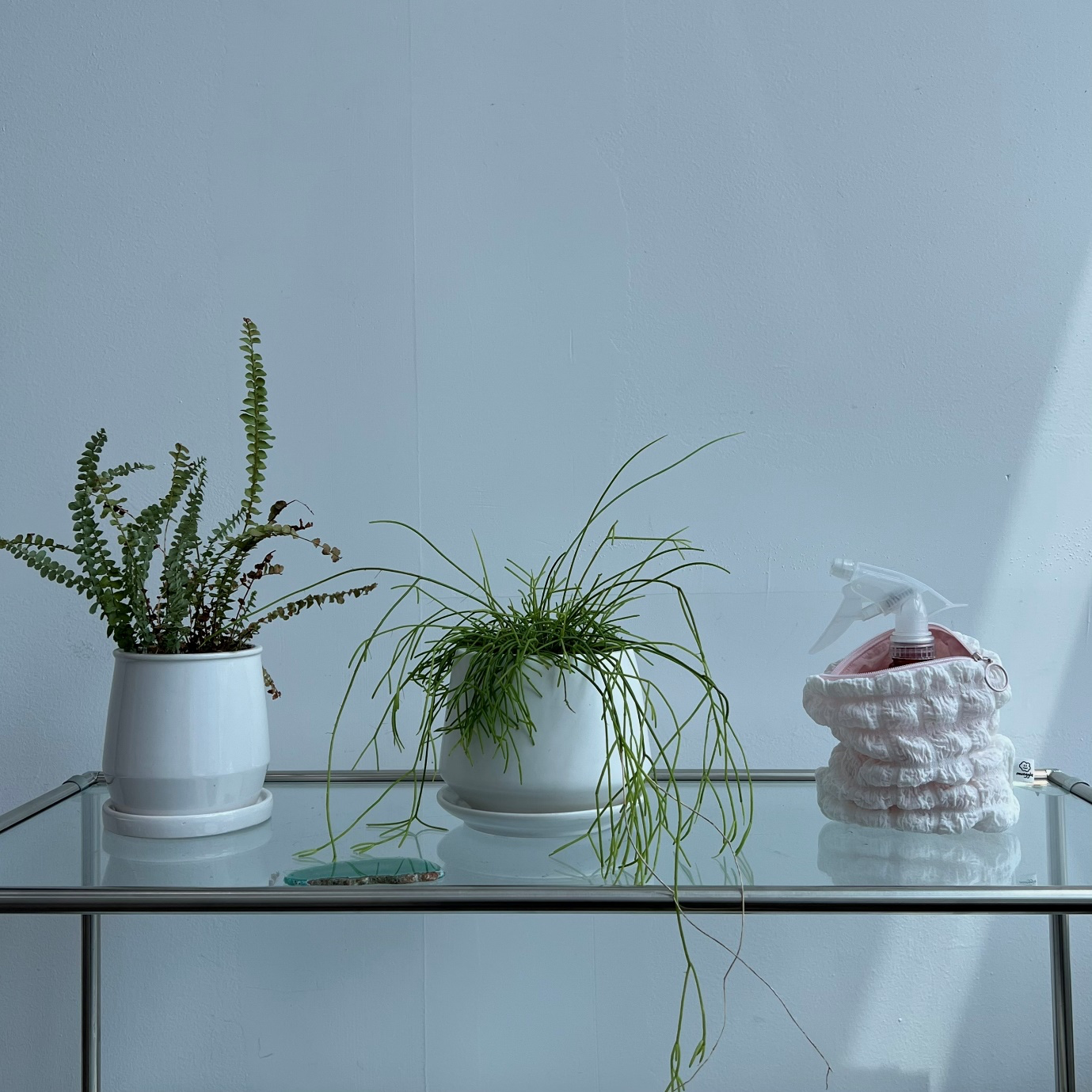 실내용 화초, 화분, 식물, 꽃병이(가) 표시된 사진

자동 생성된 설명